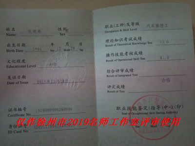 张晓亮简介