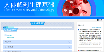 工作室成员开发的网络教学资源截图