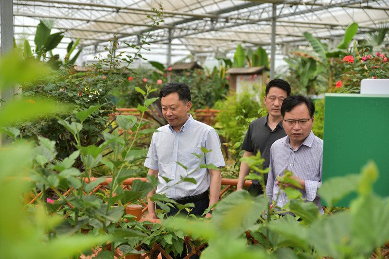 实地考察创新示范基地